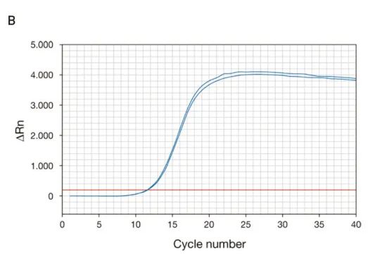 1671175916182473.jpg