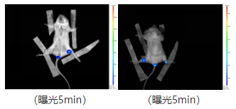 1671176355646400.png image.png